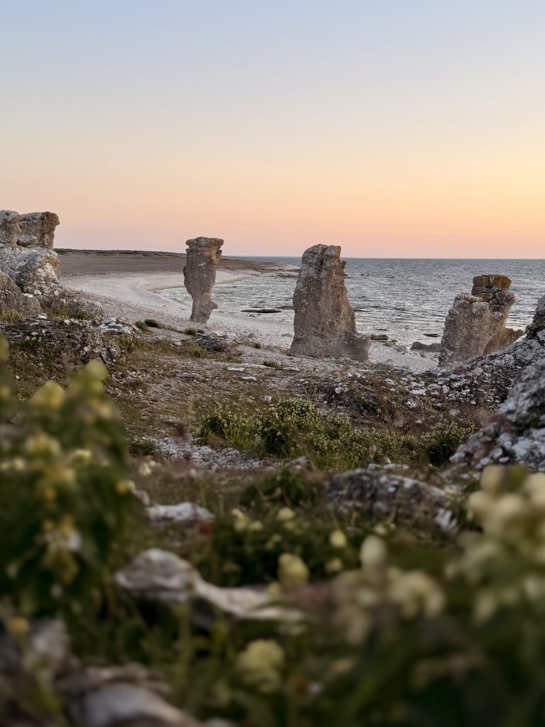 raukar vid langhammars raukområde på Fårö