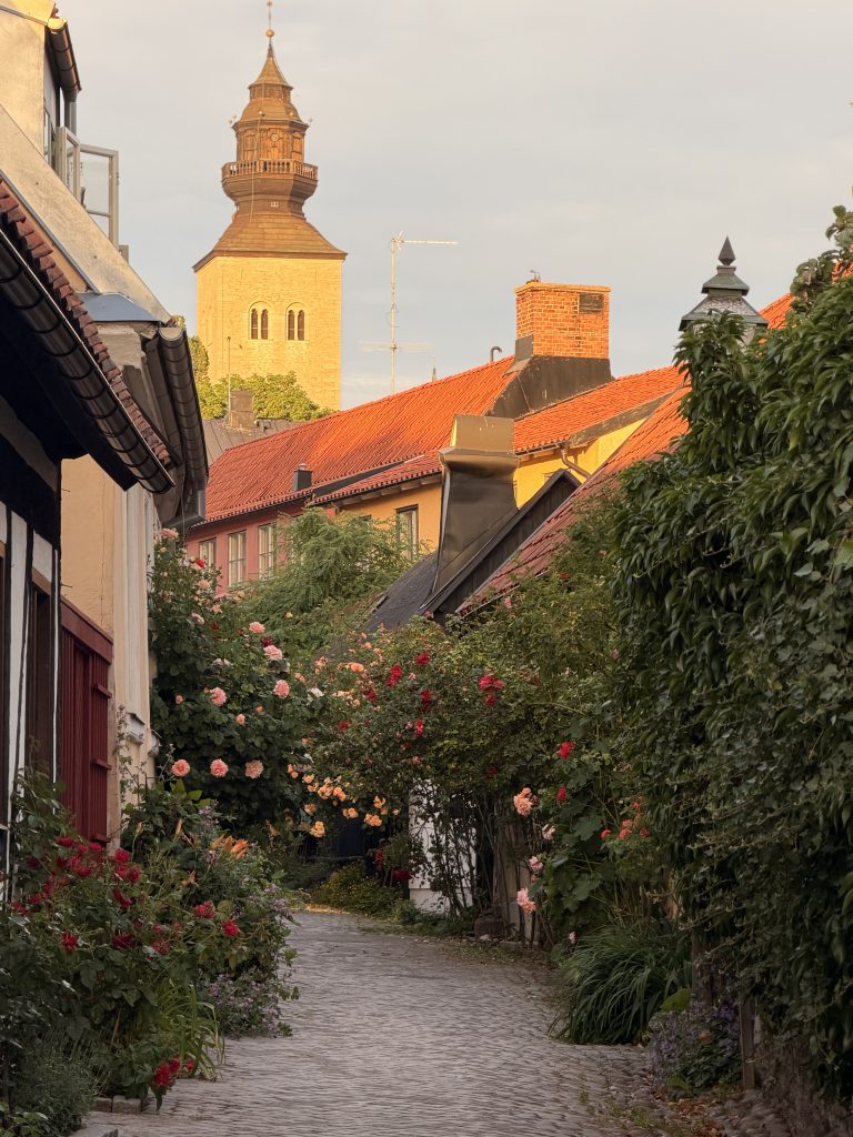 fiskargränd rosornas gränd